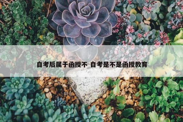 自考后属于函授不 自考是不是函授教育