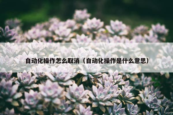 自动化操作怎么取消（自动化操作是什么意思）