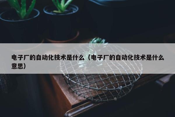 电子厂的自动化技术是什么（电子厂的自动化技术是什么意思）