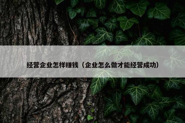 经营企业怎样赚钱（企业怎么做才能经营成功）