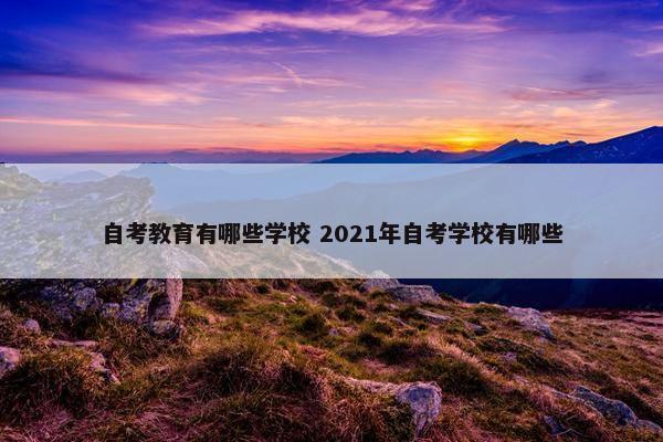 自考教育有哪些学校 2021年自考学校有哪些