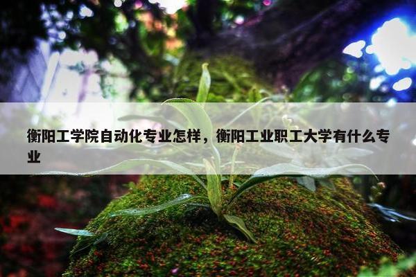 衡阳工学院自动化专业怎样，衡阳工业职工大学有什么专业