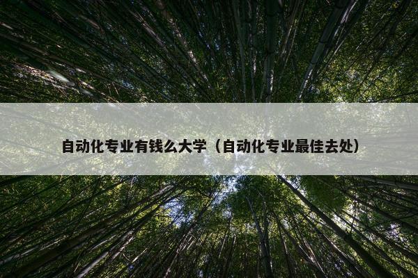 自动化专业有钱么大学（自动化专业最佳去处）