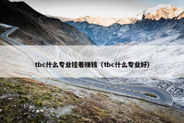 tbc什么专业挂着赚钱（tbc什么专业好）