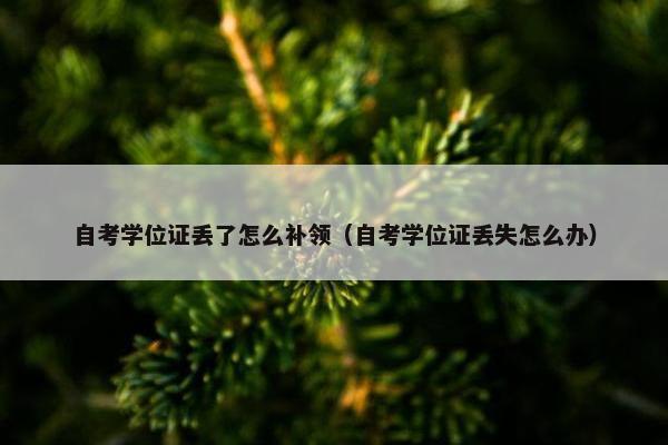 自考学位证丢了怎么补领（自考学位证丢失怎么办）