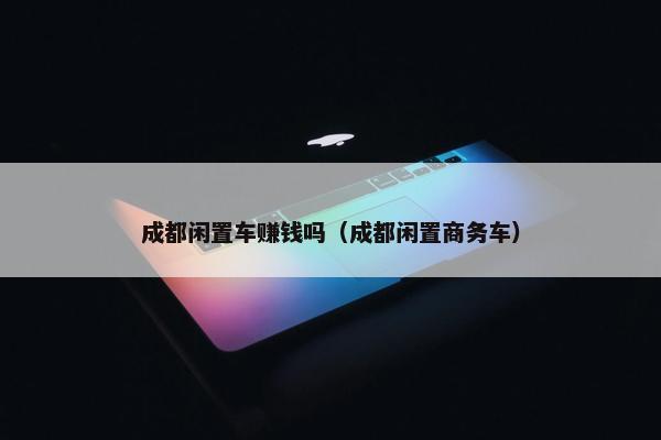 成都闲置车赚钱吗（成都闲置商务车）