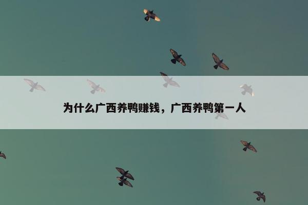 为什么广西养鸭赚钱，广西养鸭第一人