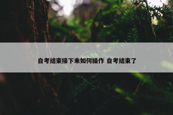 自考结束接下来如何操作 自考结束了