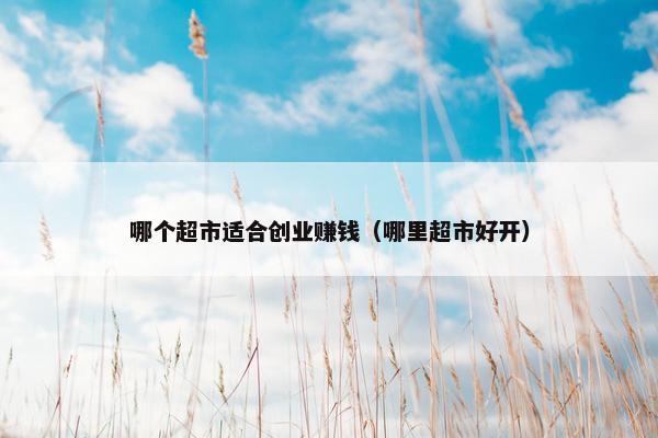 哪个超市适合创业赚钱（哪里超市好开）