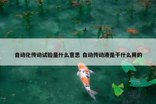 自动化传动试验是什么意思 自动传动液是干什么用的