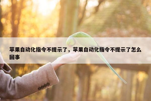 苹果自动化指令不提示了，苹果自动化指令不提示了怎么回事