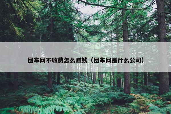 团车网不收费怎么赚钱（团车网是什么公司）