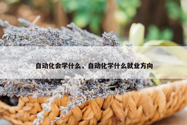 自动化会学什么，自动化学什么就业方向