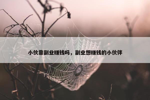 小伙靠副业赚钱吗，副业想赚钱的小伙伴