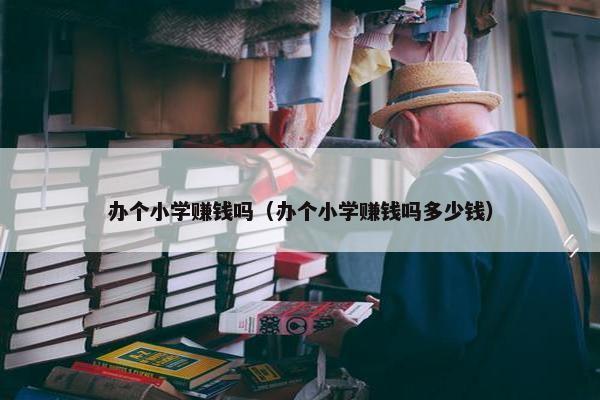 办个小学赚钱吗（办个小学赚钱吗多少钱）