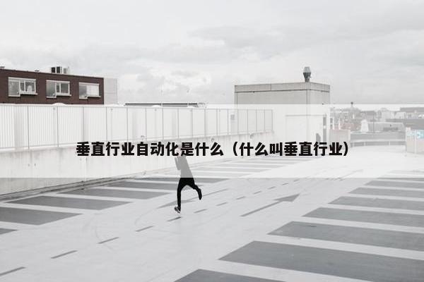 垂直行业自动化是什么（什么叫垂直行业）