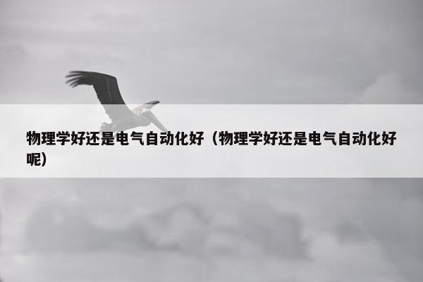 物理学好还是电气自动化好（物理学好还是电气自动化好呢）