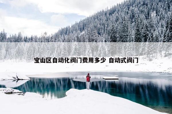 宝山区自动化阀门费用多少 自动式阀门