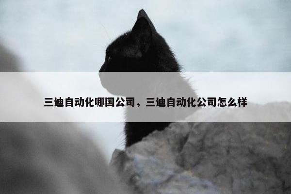 三迪自动化哪国公司，三迪自动化公司怎么样