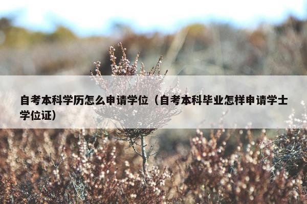 自考本科学历怎么申请学位（自考本科毕业怎样申请学士学位证）