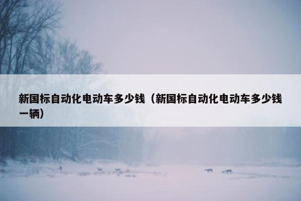 新国标自动化电动车多少钱（新国标自动化电动车多少钱一辆）