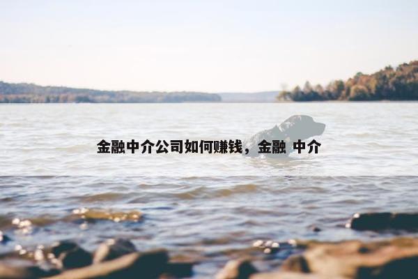 金融中介公司如何赚钱，金融 中介