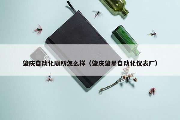 肇庆自动化厕所怎么样（肇庆肇星自动化仪表厂）