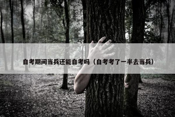 自考期间当兵还能自考吗（自考考了一半去当兵）