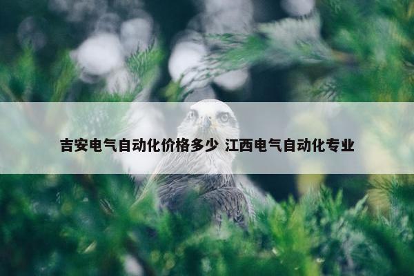 吉安电气自动化价格多少 江西电气自动化专业