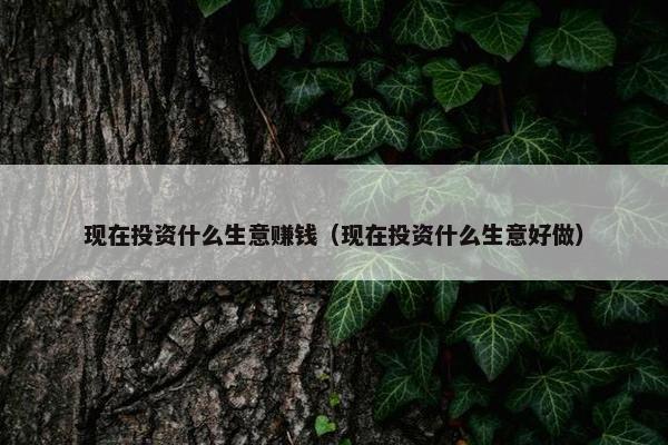 现在投资什么生意赚钱（现在投资什么生意好做）