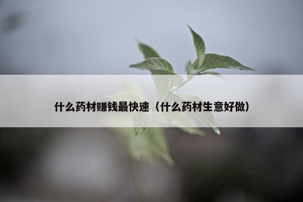 什么药材赚钱最快速（什么药材生意好做）