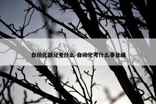 自动化部分考什么 自动化考什么事业编