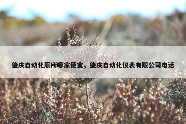 肇庆自动化厕所哪家便宜，肇庆自动化仪表有限公司电话