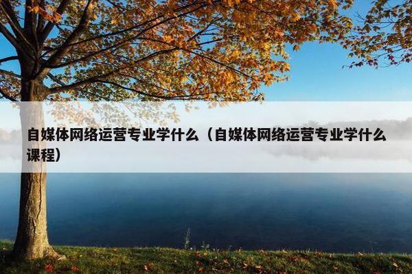 自媒体网络运营专业学什么（自媒体网络运营专业学什么课程）