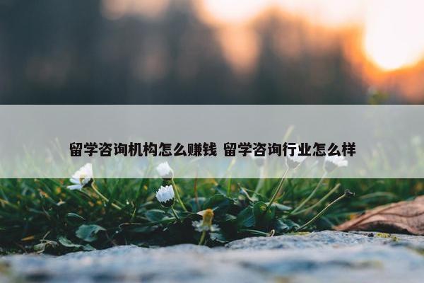 留学咨询机构怎么赚钱 留学咨询行业怎么样