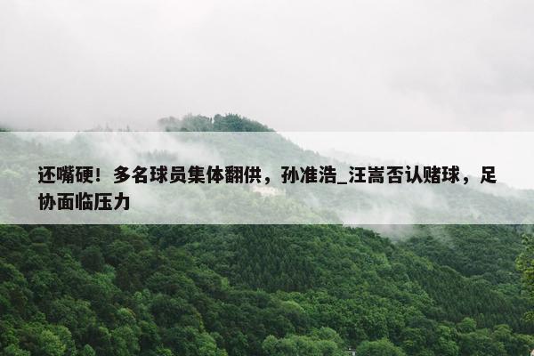 还嘴硬！多名球员集体翻供，孙准浩_汪嵩否认赌球，足协面临压力