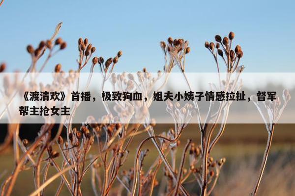 《渡清欢》首播，极致狗血，姐夫小姨子情感拉扯，督军帮主抢女主