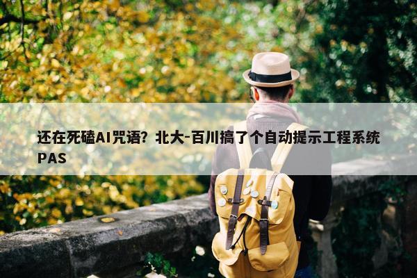 还在死磕AI咒语？北大-百川搞了个自动提示工程系统PAS