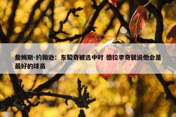 詹姆斯-约翰逊：东契奇被选中时 德拉季奇就说他会是最好的球员