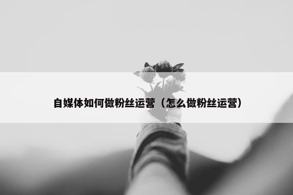 自媒体如何做粉丝运营（怎么做粉丝运营）