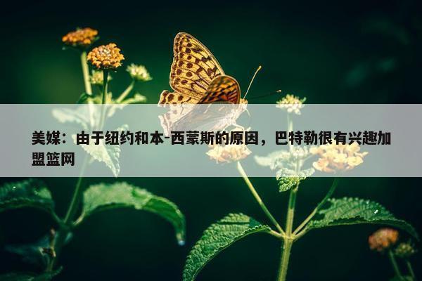 美媒：由于纽约和本-西蒙斯的原因，巴特勒很有兴趣加盟篮网