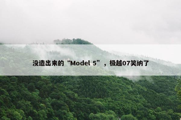 没造出来的“Model 5”，极越07笑纳了