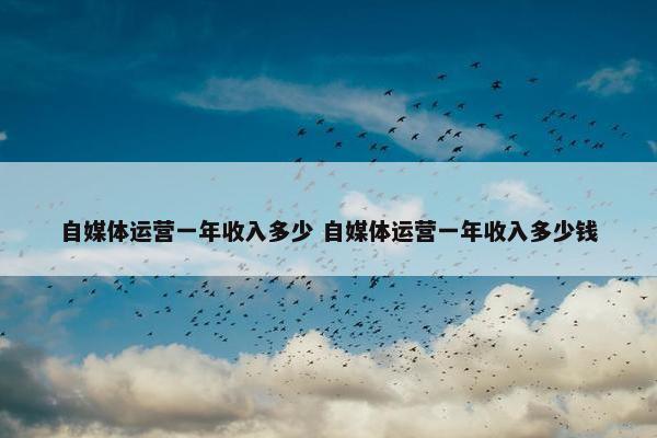 自媒体运营一年收入多少 自媒体运营一年收入多少钱