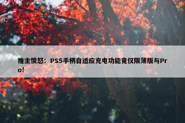 推主愤怒：PS5手柄自适应充电功能竟仅限薄版与Pro!