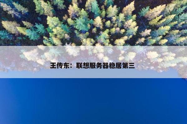 王传东：联想服务器稳居第三 