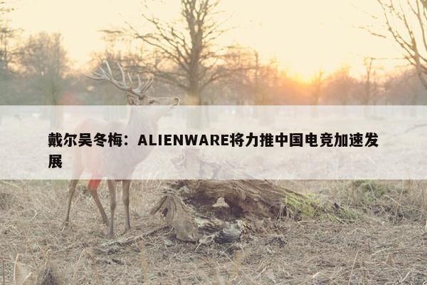 戴尔吴冬梅：ALIENWARE将力推中国电竞加速发展