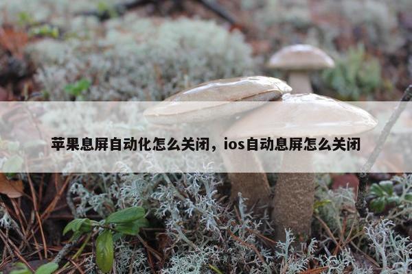 苹果息屏自动化怎么关闭，ios自动息屏怎么关闭