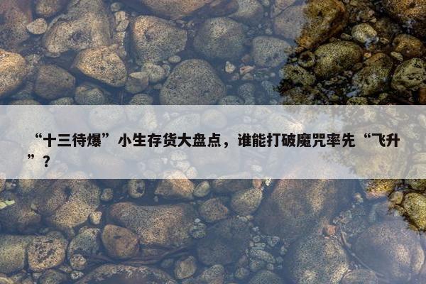 “十三待爆”小生存货大盘点，谁能打破魔咒率先“飞升”？