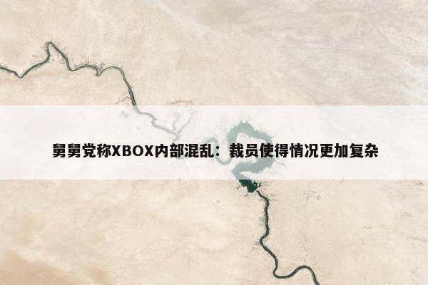 舅舅党称XBOX内部混乱：裁员使得情况更加复杂