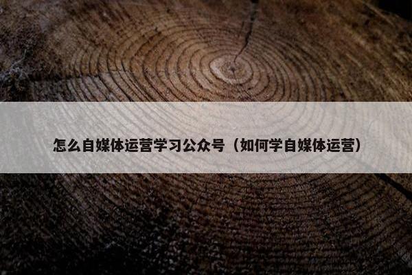 怎么自媒体运营学习公众号（如何学自媒体运营）